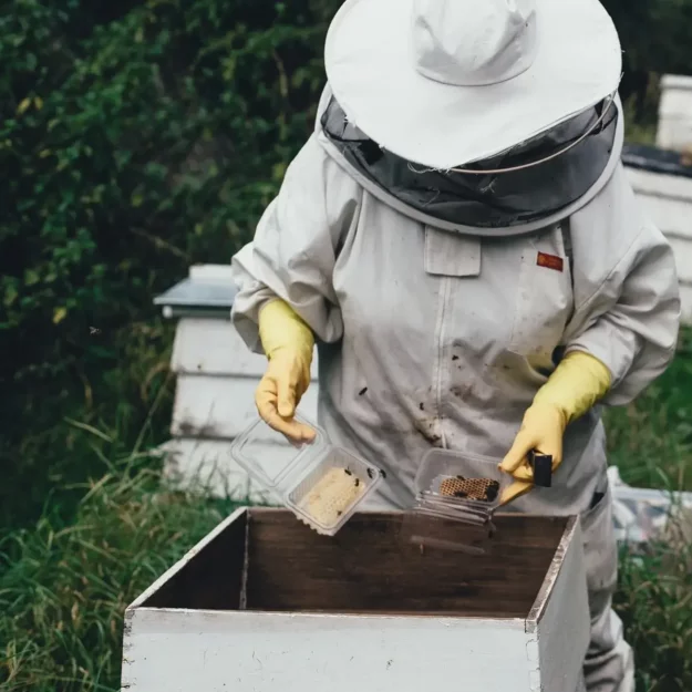 The Beesiness
